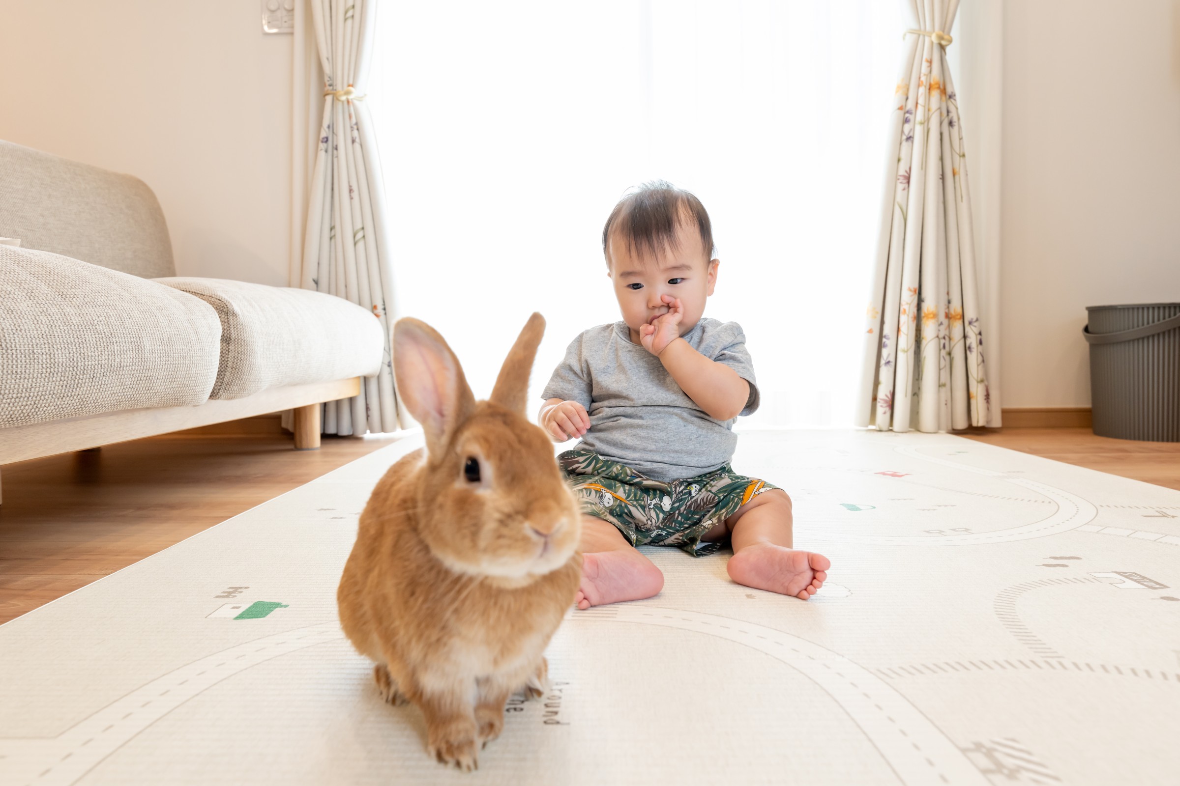 うさぎちゃんものびのび生活！